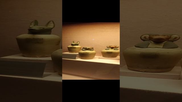 1000057803.mp4