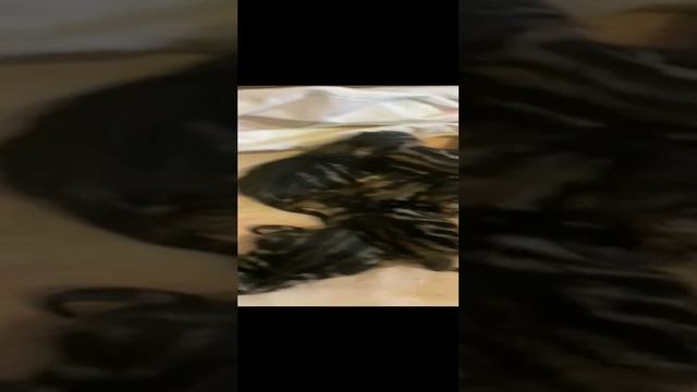 1000023448.mp4