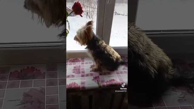 тебя больше нет.