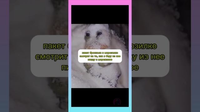 Юмор | Meme Clouds