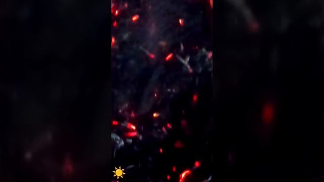 Как то вечером у костра 🔥красота. Солнечный ☀️ Саратов 2024 год.