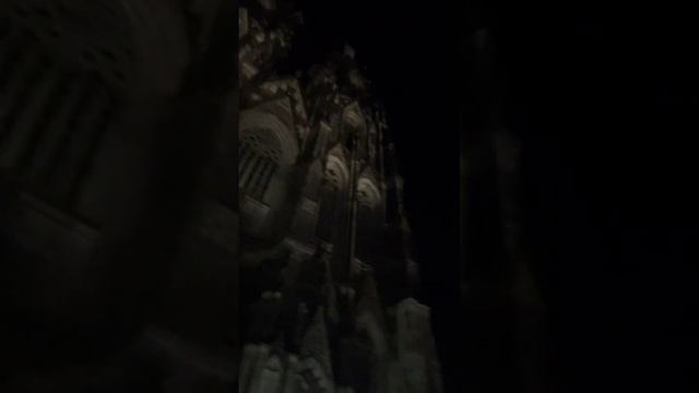 #cologne#keln#köln#rammstein#shorts#germany#deutschland