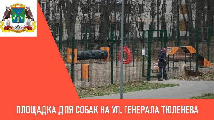 Обновленная площадка для собак на ул. Генерала Тюленева