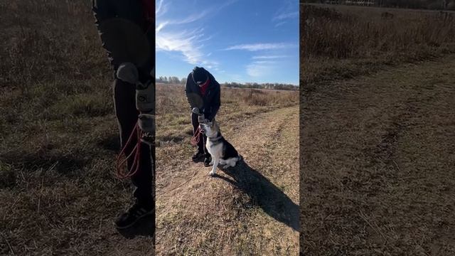 Великолепный Норд🧡 С душой истинного война