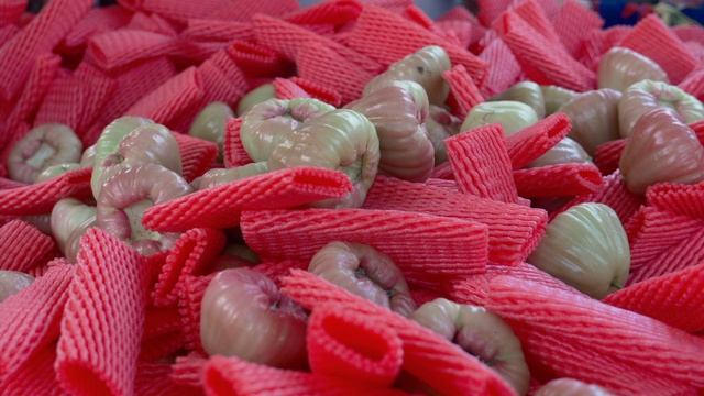 11344090-uhd_3840_2160_25fps