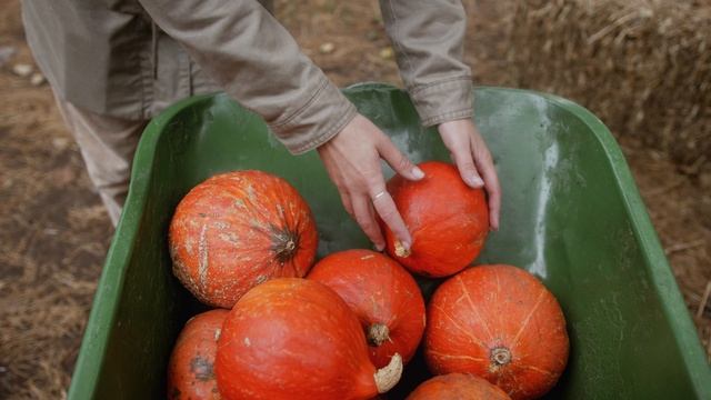 5605045-uhd_4096_2160_24fps
