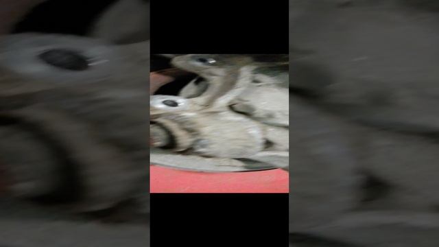 Комплект сайлентблоков задней подвески для Honda Accord 8