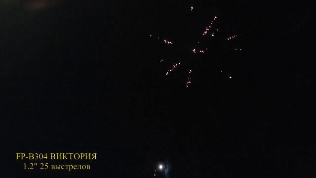 FP-B304 Виктория 1,2" 25-выстрелов
