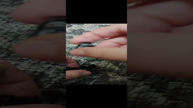 1000013103.mp4