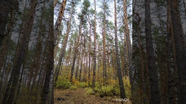 Энергосеанс защиты от негативных энергий