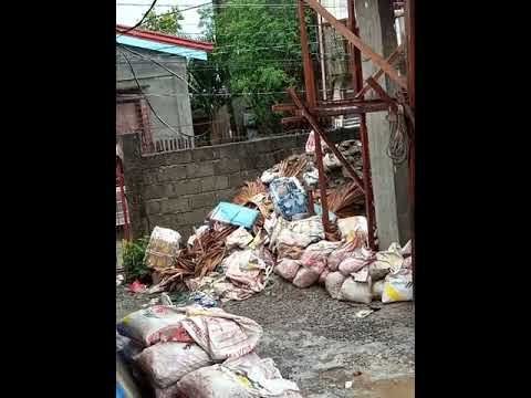 typhoon jolina update sorsogon signal#2