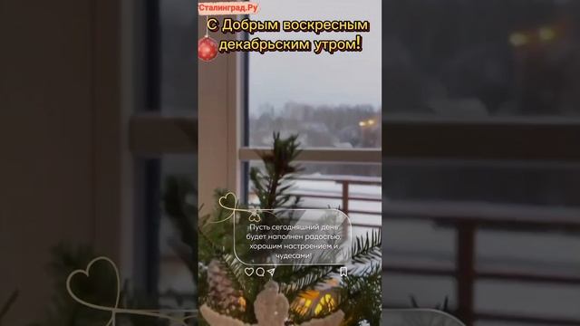 С Добрым воскресным декабрьским днём, друзья!