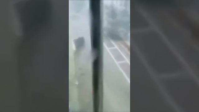 Тайфун «Яги» обрушился на остров Хайнань в Китае