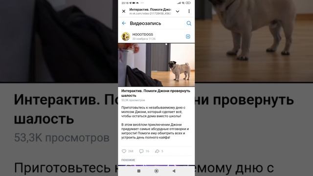 Шалость 😂 мопса 🐶 Джони.