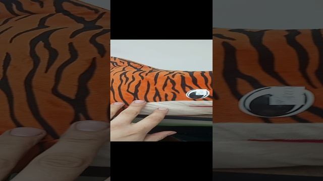 Акулы