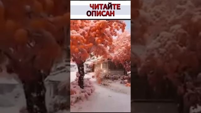 ПРО СОЛДАТА
