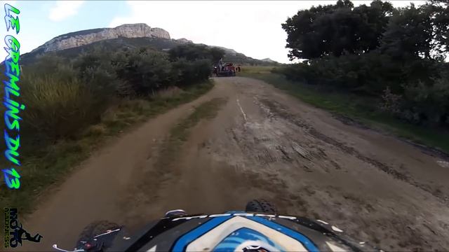 ANIMALS VS BIKERS!