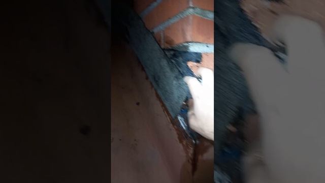 IMG_20241129_232628_662.mp4