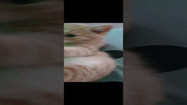 20241114_105356.mp4