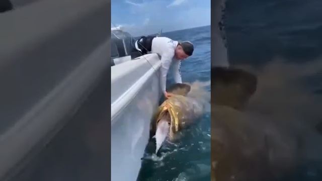 Двойной улов