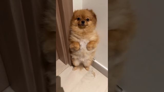 не знаю что выкладывать ))