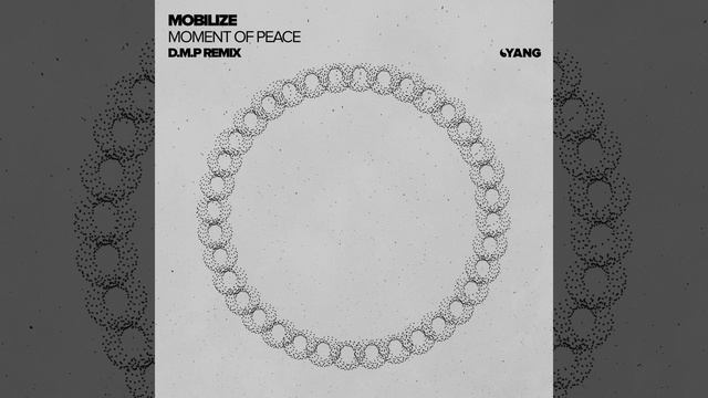 Mobilize - Moment Of Peace (D.M.P Remix)