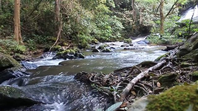 Большой ручей сила и мощь воды