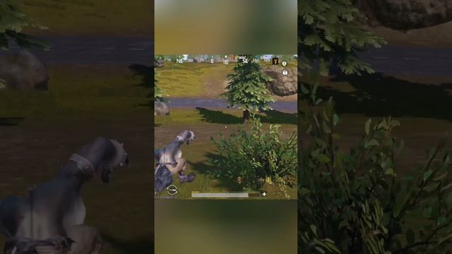 1000004880.mp4