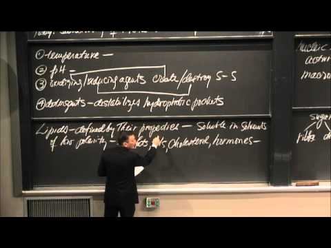 Lec 32 | MIT 3.091SC Introduction to Solid State Chemistry, Fall 2010
