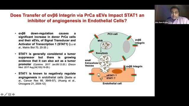 The αvβ6 integrin in cancer cell-derived small EVs enhances angiogenesis by Shiv Ram Krishn