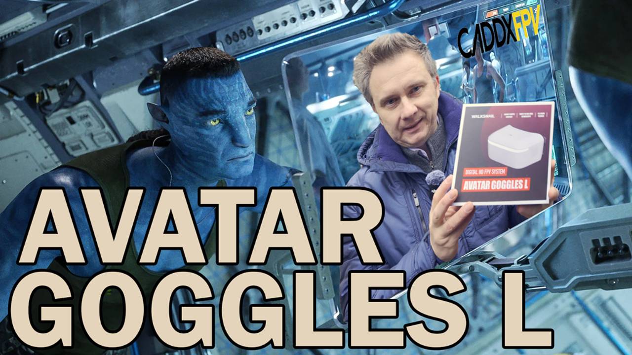 Простой путь к цифре - Walksnail Avatar HD Goggles L