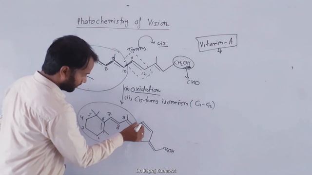 MSc-IV Sem: Paper: Photochemistry & Supra: Unit-III, Photochemistry of Vision