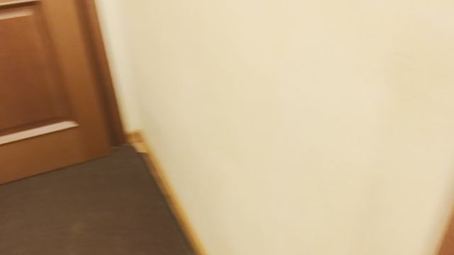VID_20241127_191941.mp4