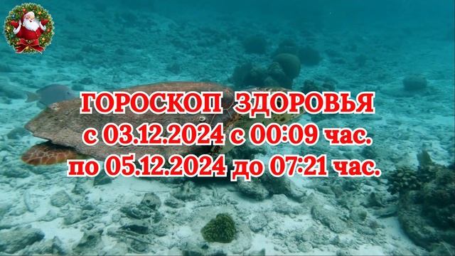 "ГОРОСКОП ЗДОРОВЬЯ с 03.12.2024 по 05.12.2024!!!"