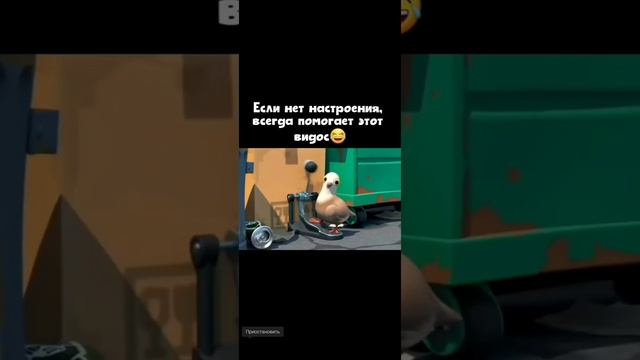 1000107894.mp4