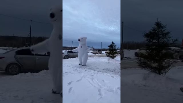 В гостях Белый Мишка День Рождения