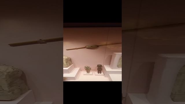 1000057784.mp4