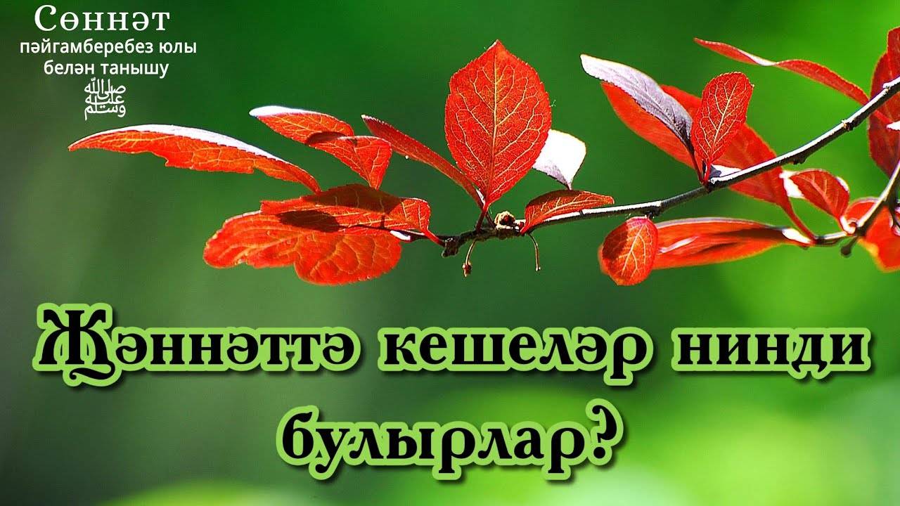 Җәннәттә кешеләр нинди булырлар? | Рамил Гәйнетдинов