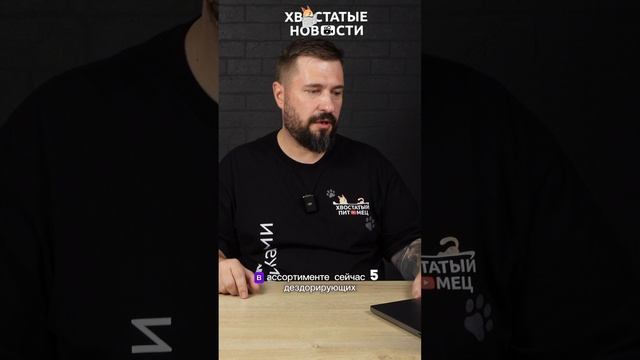 Пэрис Хилтон представляет свою косметику для животных