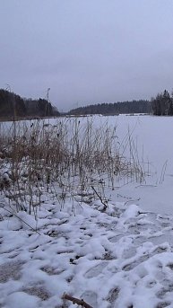 ПЕРВЫЙ ЛЁД. ПЕРВАЯ РЫБКА.