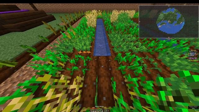 №29 Выживание