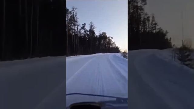 ТК "СТЭС" -  ваш надежный партнер по грузоперевозкам