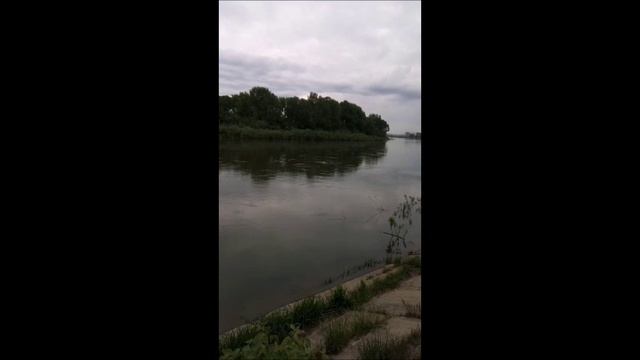 Савин Виталий-Катя Катаева.wma