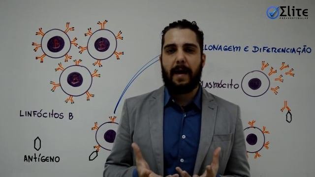 Imunologia (parte 1) - Linfócitos B