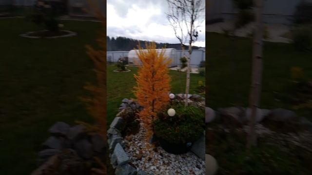 Готовим участок к зиме
