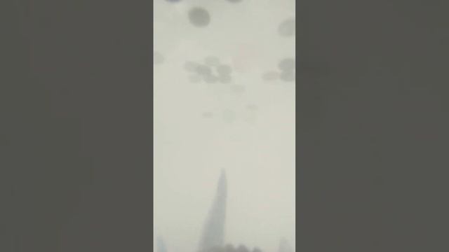 1 декабря 2023 г.
