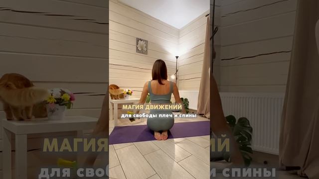 Мобильность плеч с метлой