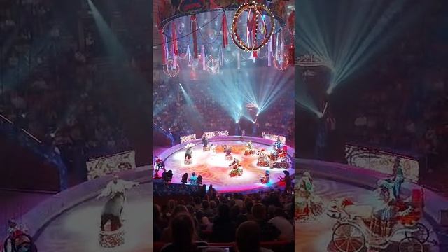 🎪Цирк 5 континентов Ставрополь 3 ноября