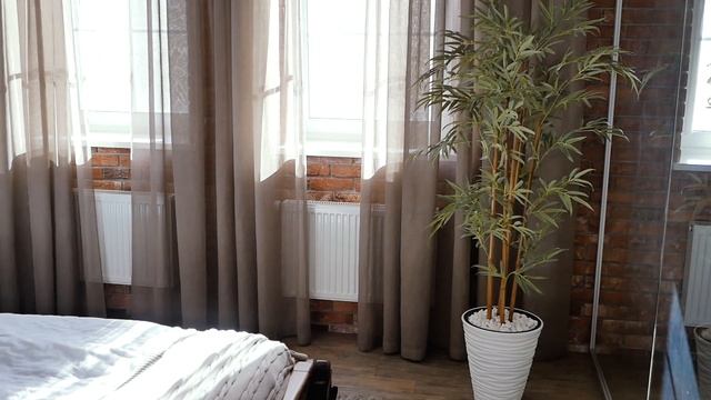 5644278-hd_1920_1080_25fps