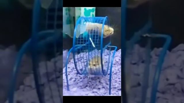 полёт в космос